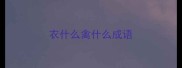 衣什么禽什么成语