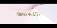 限的四字成语