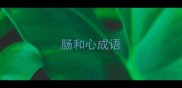 肠和心成语