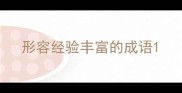 形容经验丰富的成语