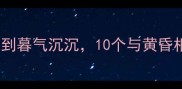 幕色成语大全从暮色四合到暮气沉沉10个与黄昏相关的经典成语及文化内涵