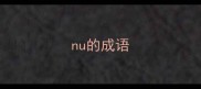 nu的成语