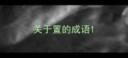 关于置的成语