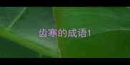 齿寒的成语