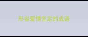 形容爱情坚定的成语
