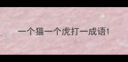 一个猫一个虎打一成语