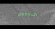 成语里带九的