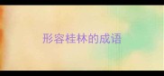 形容桂林的成语
