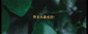 赞美夫妻成语