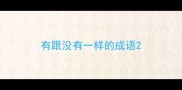 有跟没有一样的成语