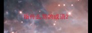 指什么骂的成语