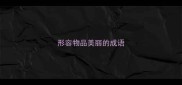 形容物品美丽的成语