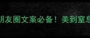 形容美好的成语大全朋友圈文案必备美到窒息的100个高级成语清单