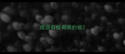 成语有板有眼的板