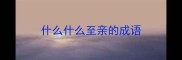 什么什么至亲的成语