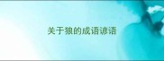 关于狼的成语谚语