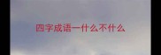 四字成语一什么不什么