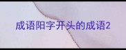 成语阳字开头的成语