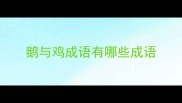 鹅与鸡成语有哪些成语