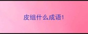 皮组什么成语
