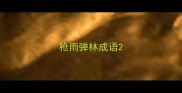 枪雨弹林成语