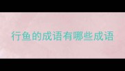 行鱼的成语有哪些成语