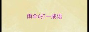 雨伞6打一成语