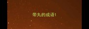 带丸的成语