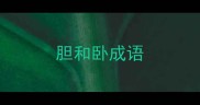胆和卧成语