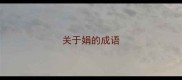 关于娟的成语