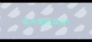 暴风骤雨成语