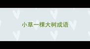 小草一棵大树成语