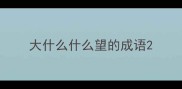 大什么什么望的成语