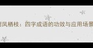 附凤栖枝四字成语的功效与应用场景