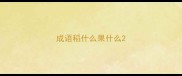 成语稻什么果什么