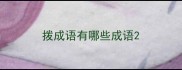 拨成语有哪些成语