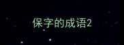 保字的成语