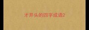 才开头的四字成语