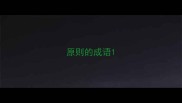 原则的成语
