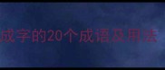 必学描写成字的20个成语及用法附例句