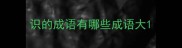 识的成语有哪些成语大