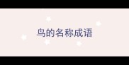 鸟的名称成语