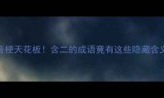 爆款干货成语谐音梗天花板含二的成语竟有这些隐藏含义附趣味用法