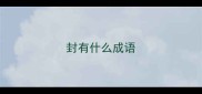 封有什么成语