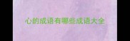 心的成语有哪些成语大全