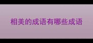 相美的成语有哪些成语
