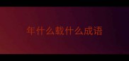 年什么载什么成语