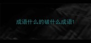 成语什么的破什么成语