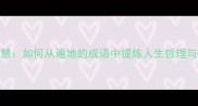 成语的智慧如何从遍地的成语中提炼人生哲理与应用技巧