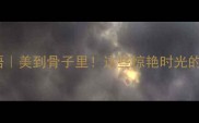 相字开头的唯美成语美到骨子里这些惊艳时光的成语你用过几个